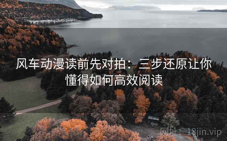 风车动漫读前先对拍：三步还原让你懂得如何高效阅读